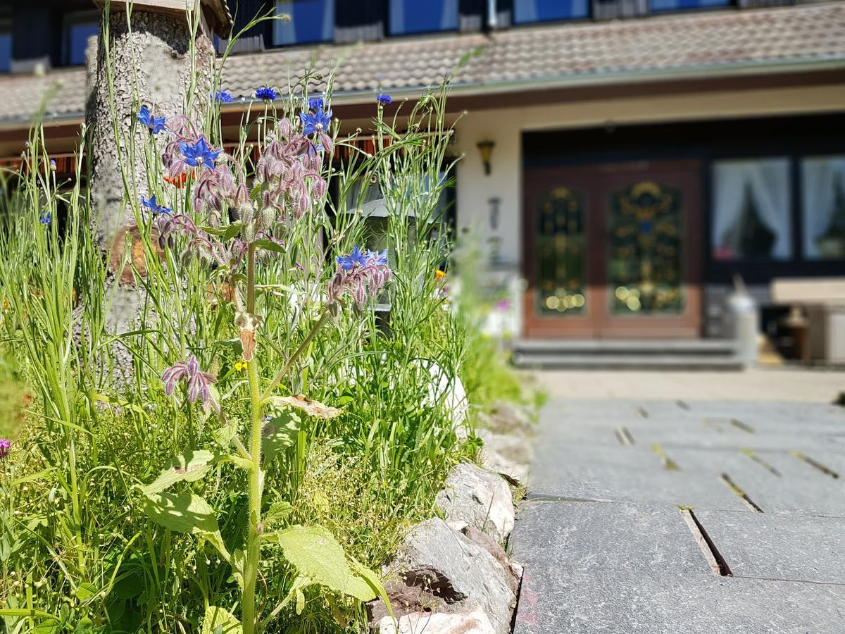 Hotel Landhaus Sonnenhof Todtnau Luaran gambar