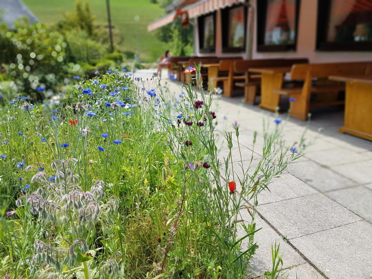 Hotel Landhaus Sonnenhof Todtnau Luaran gambar